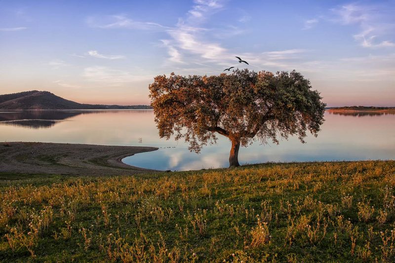 Alentejo | Barragem do Alqueva