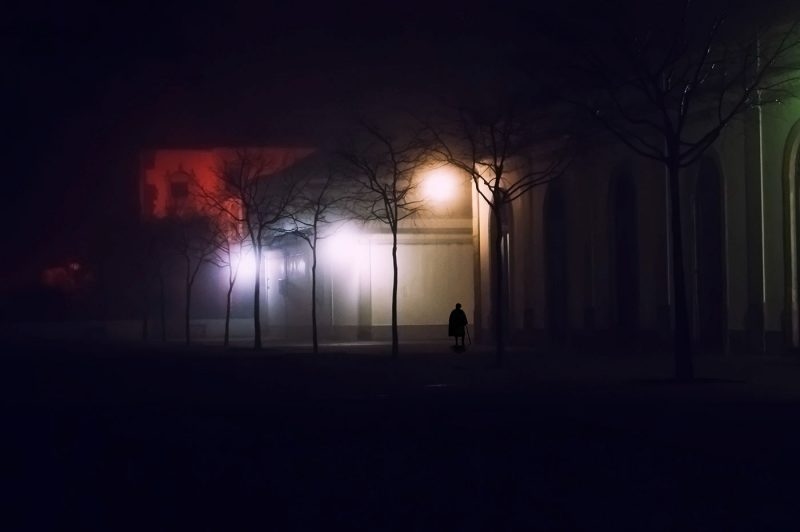 Evora Street | Night at the Market